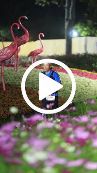 BIB:  <button type="button" onclick="openModal(27589966)" class="btn btn-primary btn-sm float-right" data-toggle="modal" data-target=".modal-high-quality">
                <i class="fa fa-download"></i> Download
                </button>